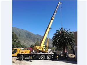 Grúas Móviles Terex cy25k (Quito)