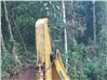 Excavadoras Komatsu PC270LC  (Zumba)